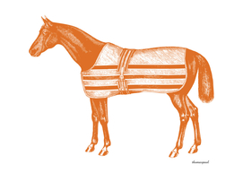 HORSE  ORANGE