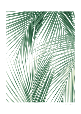 Palm Leaves Jungle Dream #1 #tropical #wall #decor #art