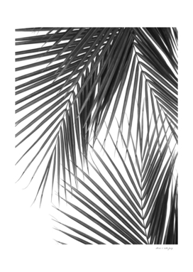 Tropical Palm Leaves Jungle Dream #2 #tropical #wall #decor