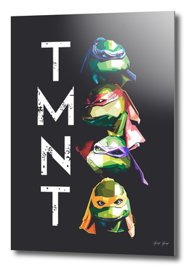 Turtless TMNT Popart