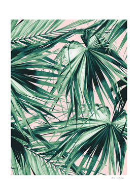 Fan Palm Jungle Dream #1 #tropical #wall #decor #art