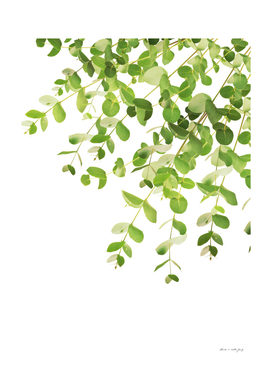 Eucalyptus Fresh Green Delight #1 #foliage #decor #art