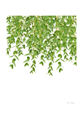 Eucalyptus Garland Finesse #1 #foliage #decor #art
