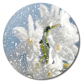 White Flowers (Circles)