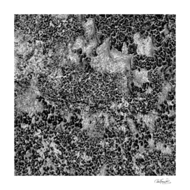 Grey and White Grunge Camouflage Abstract Print