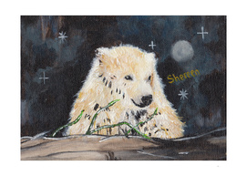 Polar Bear (night hunt)