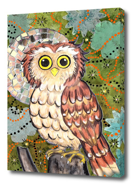 Enchanted Owl with a twist