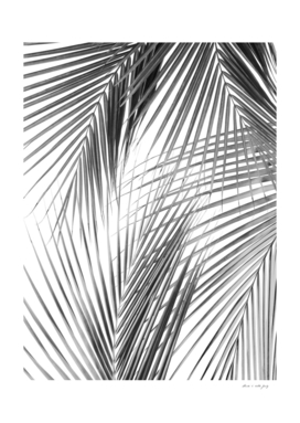 Palm Leaves Jungle Dream #2 #tropical #wall #decor #art