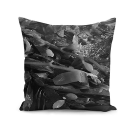 Seaweed in Black and White