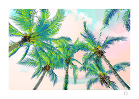 Dreamy Palms