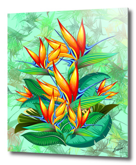 Bird of Paradise Flower Exotic Nature