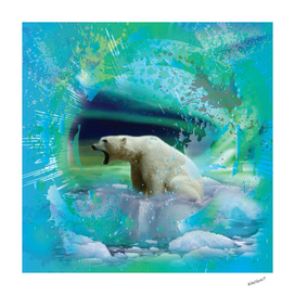 Polar Bear Northern Lights