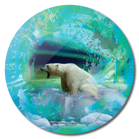 Polar Bear Northern Lights