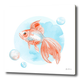 Fish and bubbles