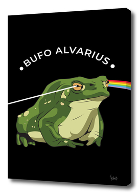 Bufo Alvarius