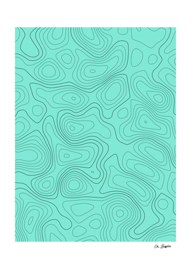 Topographic Map 01 - Mint