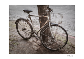 Old Bicycle Chained at Tree