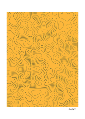 Topographic Map 01A