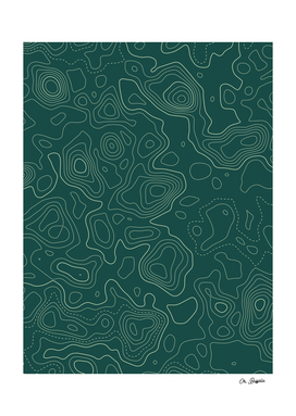 Topographic Map 02 - Forest Green