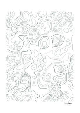 Topographic Map 03 - Forest Green