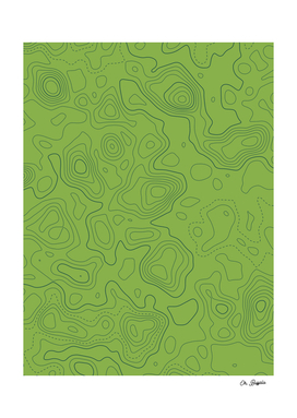 Topographic Map 02 - Green