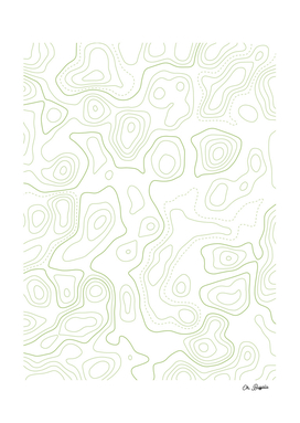 Topographic Map 03 - Green