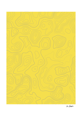 Topographic Map 03 - Yellow