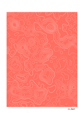 Topographic Map 02 - Coral