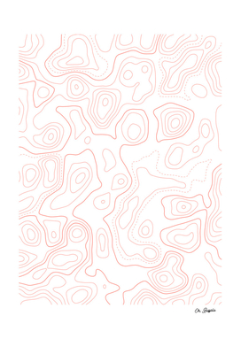 Topographic Map 03 - Coral