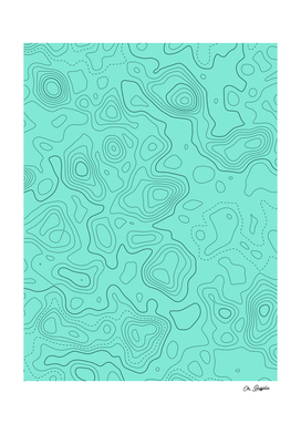 Topographic Map 02 - Mint