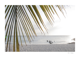 Sunset Ocean Palm Dream #1 #tropical #beach #wall