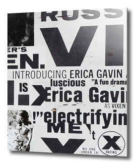 Erica Gavin 11