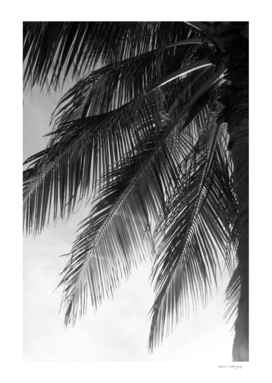 Sunset Palm #2 #tropical #wall #decor #art