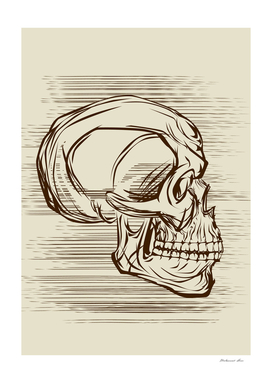 skull head minimalist