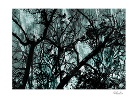 Dark Forest Landscape Illustration
