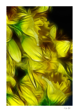 Abstract Yellow Daffodils