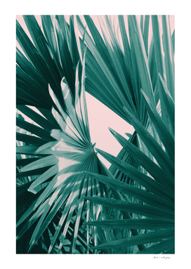 Fan Palm Leaves Delight #1 #tropical #wall #decor #art