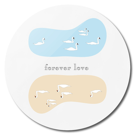 forever love -swan-