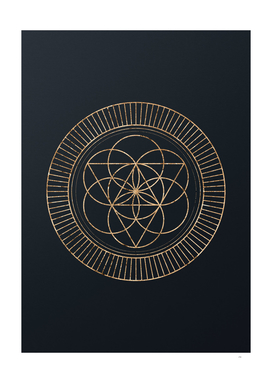 Gold Geometric Glyph Mandala Sigils Rune on Teal - Portrait