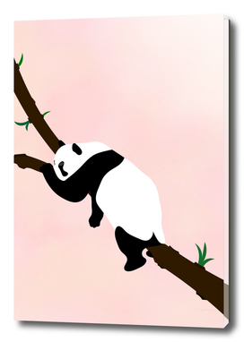 relax -panda-