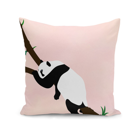 relax -panda-