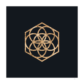 Gold Geometric Glyph on Teal SQUARE - 442