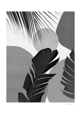 Abstract Banana Palm Leaf Finesse #3 #tropical #decor #art