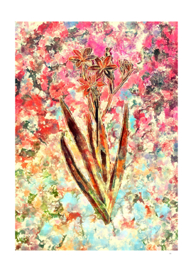 Pink Blush Botanical Blackberry Lily