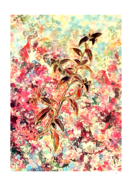 Pink Blush Botanical Birdbill Dayflower