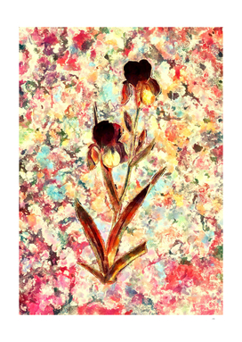 Pink Blush Botanical Elder Scented Iris