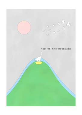 top of the mountain