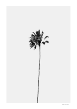 Black & White Palm Finesse #1 #tropical #wall #decor #art