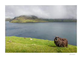 Faroe Islands #3