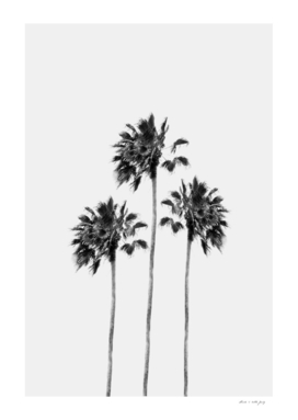 Black & White Palm Trio Finesse #1 #tropical #wall #decor